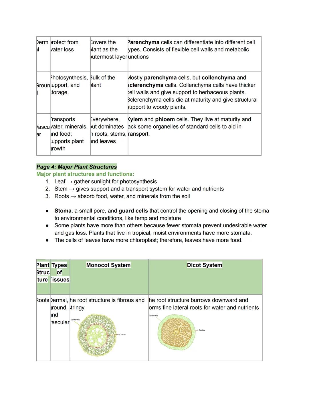# 06.01 Bacteria

Key terms from the lesson
Ribosomal RNA: the RNA inside ribosomes, the organelle responsible for protein synthesis in
all 