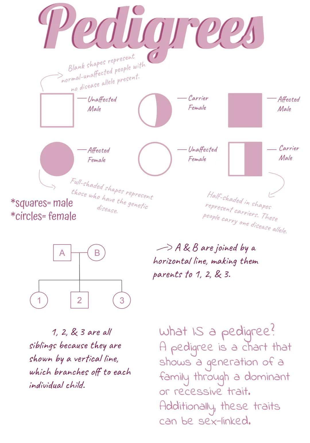 # Pedigrees

Blank shapes represent
normal-unaffected people with
no disease allele present.

- Unaffected
Male

- Carrier
Female

- Affecte