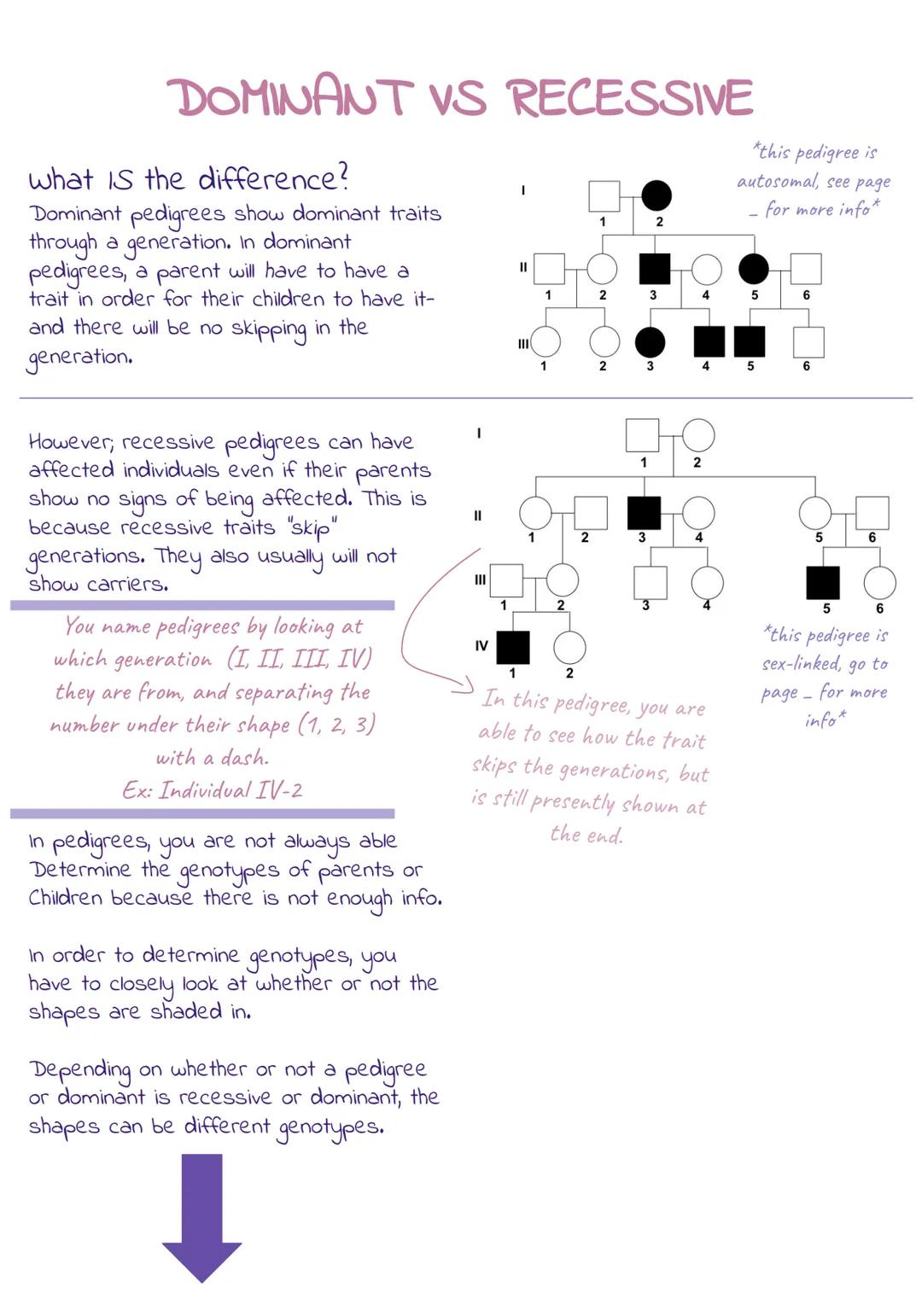 # Pedigrees

Blank shapes represent
normal-unaffected people with
no disease allele present.

- Unaffected
Male

- Carrier
Female

- Affecte