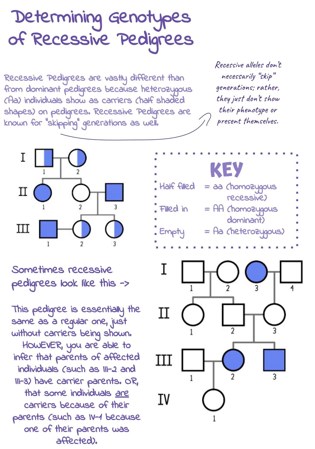 # Pedigrees

Blank shapes represent
normal-unaffected people with
no disease allele present.

- Unaffected
Male

- Carrier
Female

- Affecte