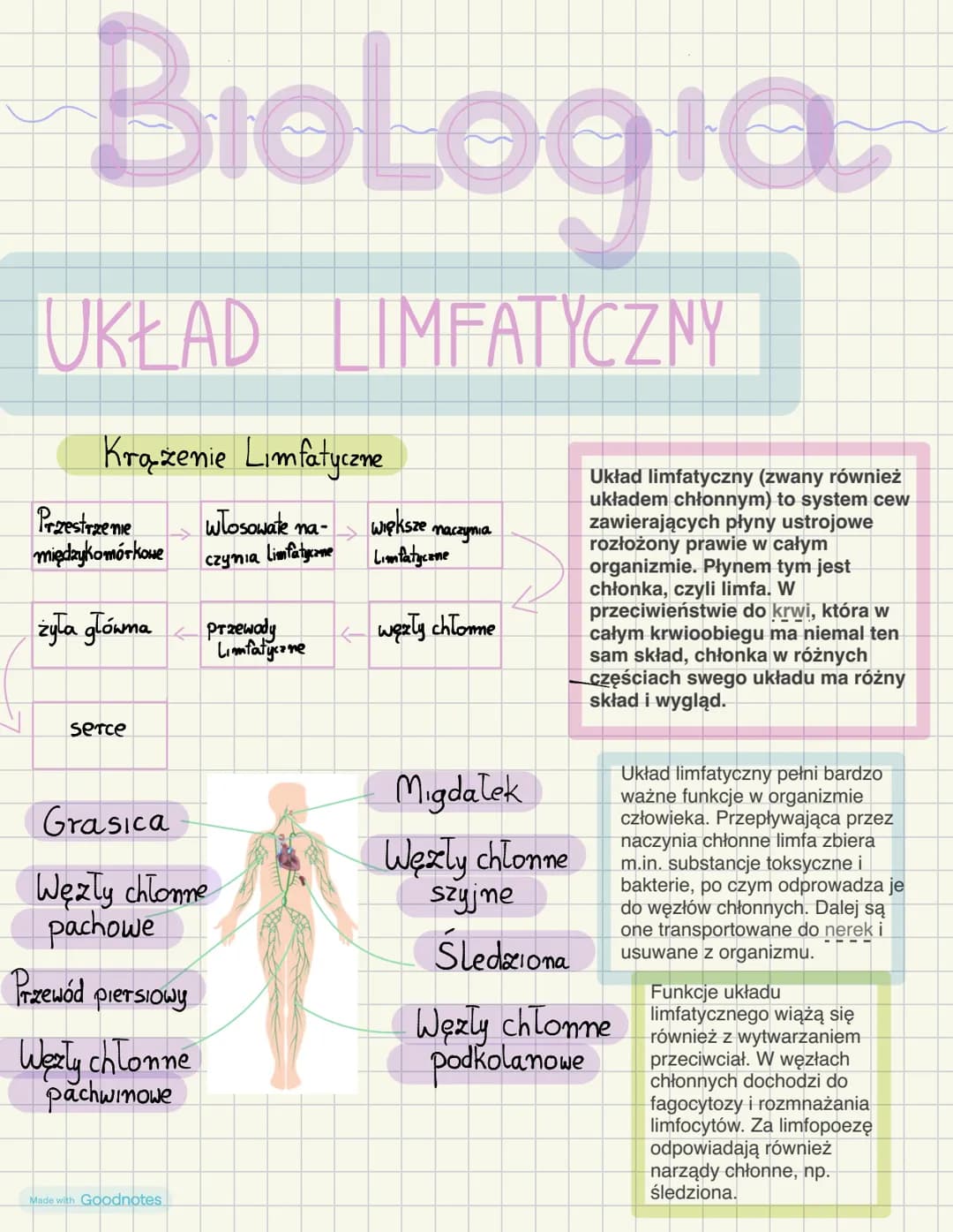 # BioLogia

# UKŁAD LIMFATYCZNY

## Krążenie Limfatyczne

Przestrzenie
międzykomórkowe
włosowate na- większe naczynia
czynia Limfatyczne Lim
