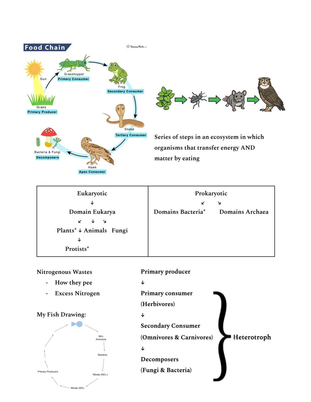 Intro to Unit 1 (Summative test)

All living things have 6 essential elements: CHNOPS
- Carbon
- Hydrogen
- Nitrogen
- Oxygen
- Phosphorous
