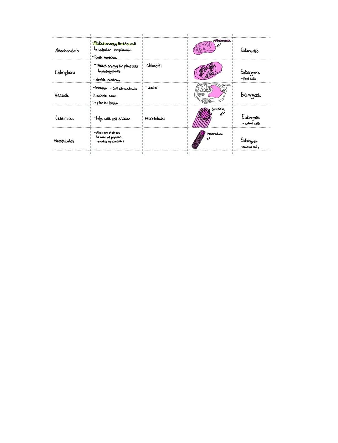 # Organelles cell parts

| name             | function                                                                 | made of            