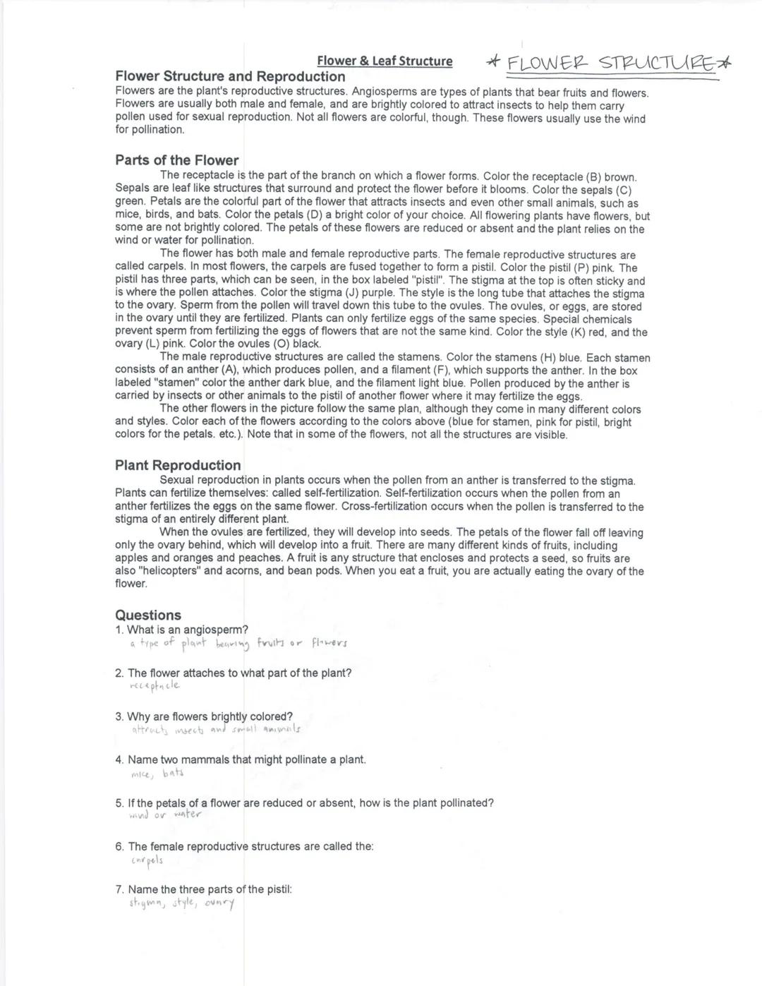 Flower & Leaf Structure
# Flower Structure and Reproduction
*FLOWER STRUCTURE*
Flowers are the plant's reproductive structures. Angiosperms 