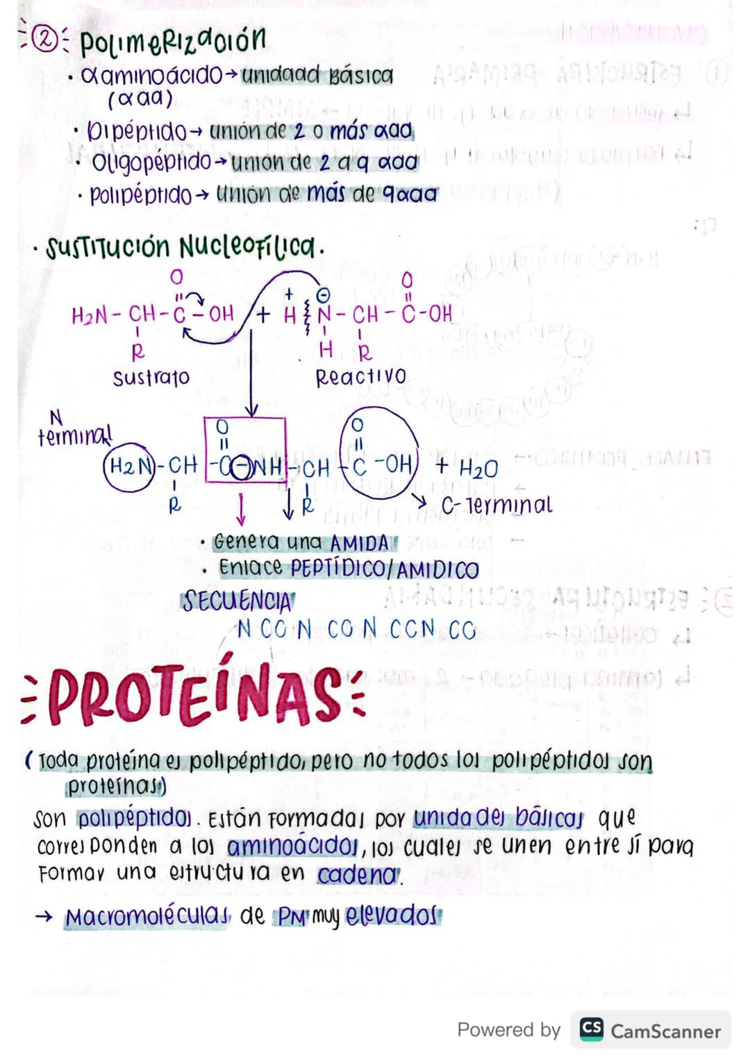 # AMINOÁCIDOS=-bobabjog

* GRUPO FUNCIONAL → Acido

→ Amino

* FÓRMULA GENERALI

H

Átomo de carbono a

Grupo

←NH2-C-COOH → Grupo carboxito