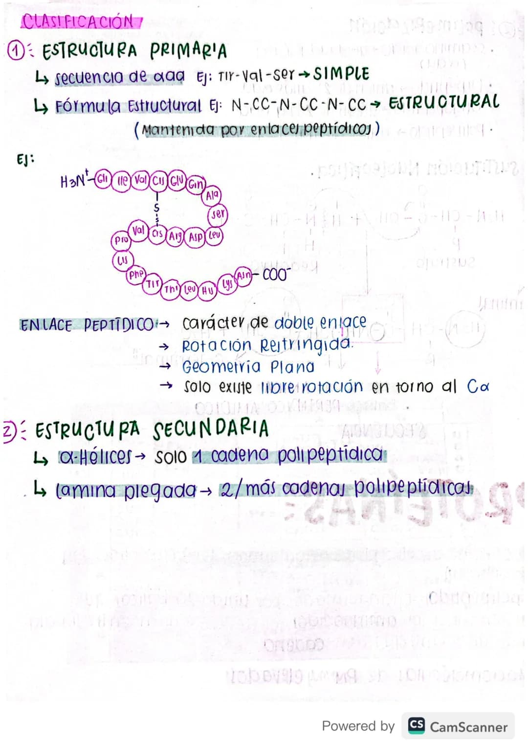 # AMINOÁCIDOS=-bobabjog

* GRUPO FUNCIONAL → Acido

→ Amino

* FÓRMULA GENERALI

H

Átomo de carbono a

Grupo

←NH2-C-COOH → Grupo carboxito