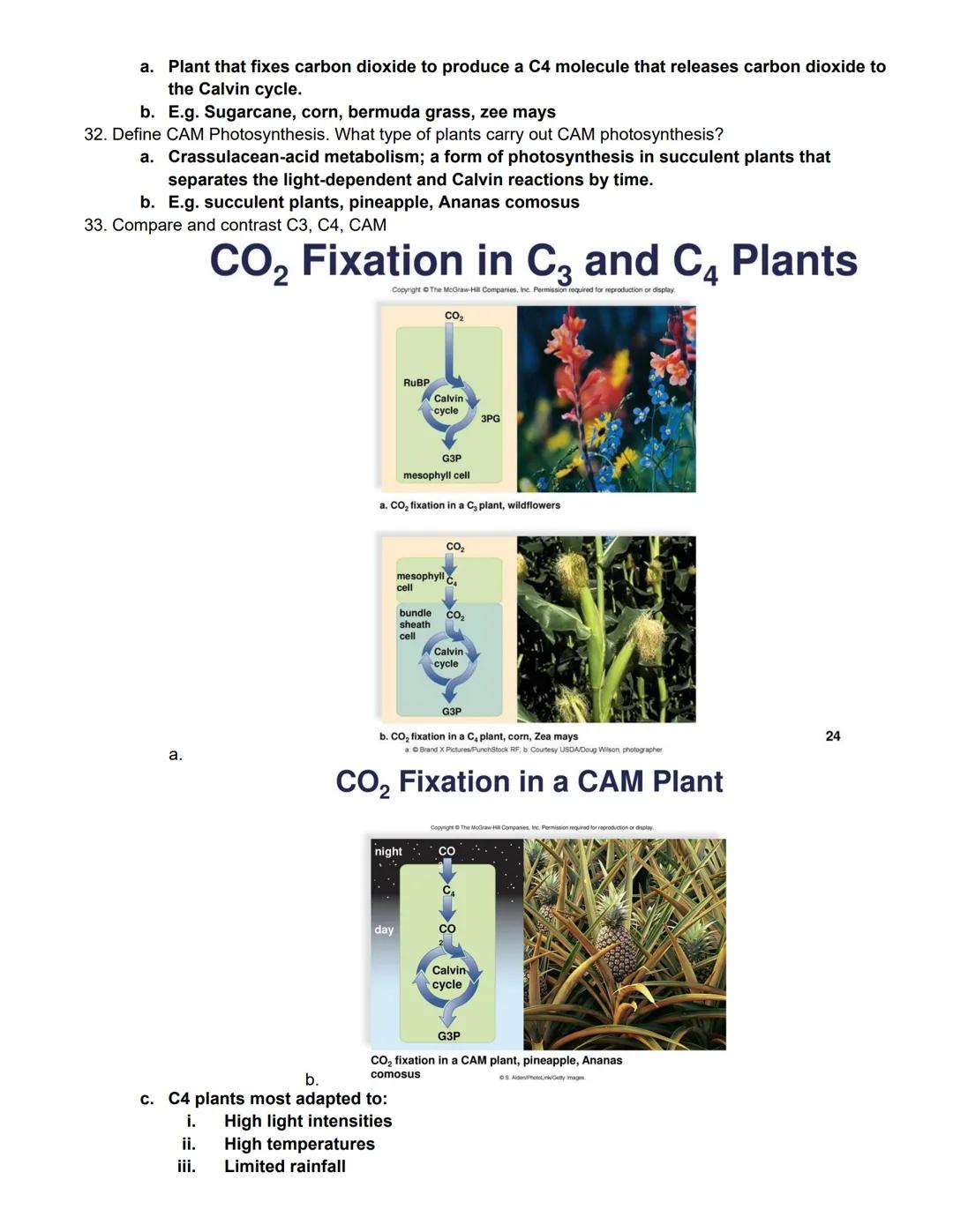# BIOL 1406 CH 7 Photosynthesis Outline

Learning Outcomes:

Photosynthetic Organisms

Explain how autotrophs are able to produce their own 