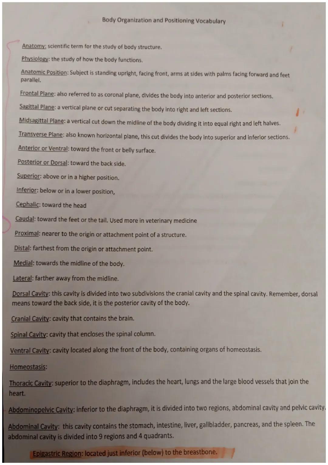 General Common Suffixes
-able, ible: capable of, able to
-ac, iac: pertaining to
-al, ian: pertaining to
-algia: pain
-ar, -ary: pertaining 