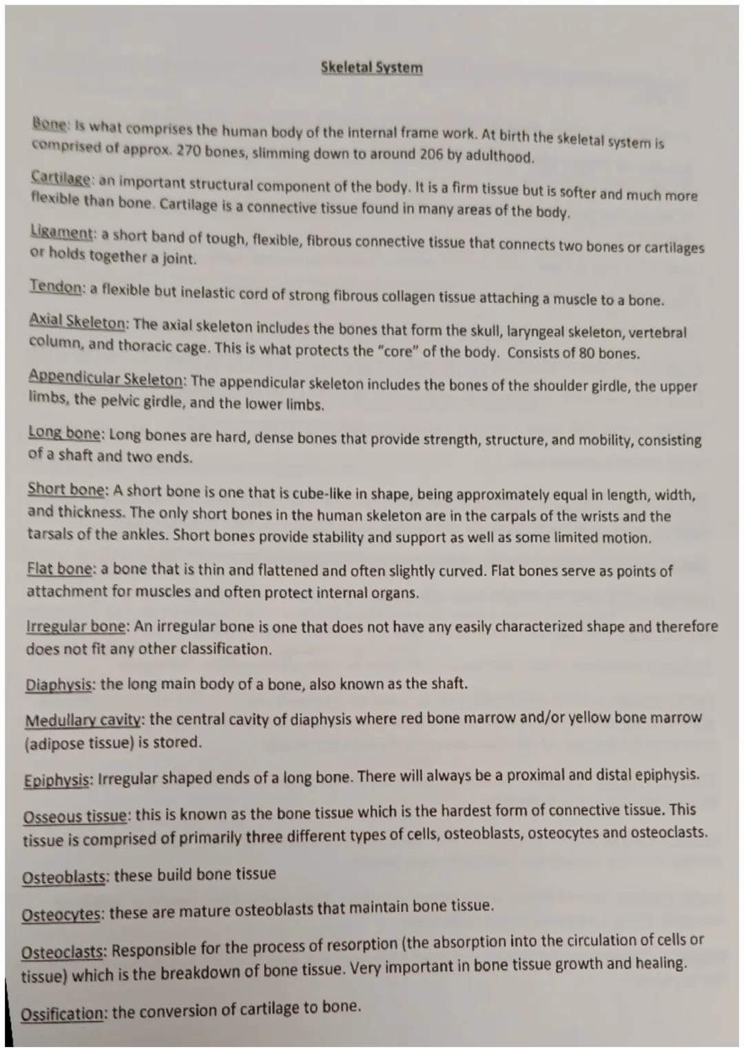 General Common Suffixes
-able, ible: capable of, able to
-ac, iac: pertaining to
-al, ian: pertaining to
-algia: pain
-ar, -ary: pertaining 
