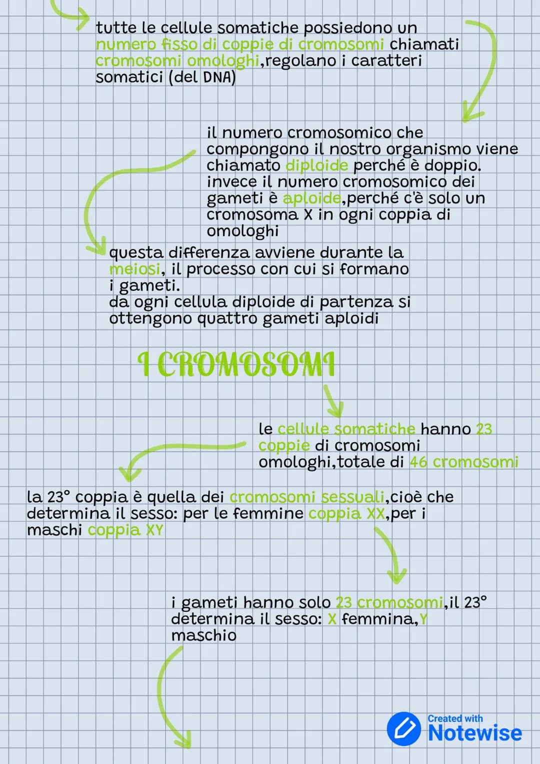 # LA RIPRODUZIONE

Negli esseri umani è
sessualta

fusione di due cellule
sussessuali (gameti)

sopravvivenza della
specie

Generare individ