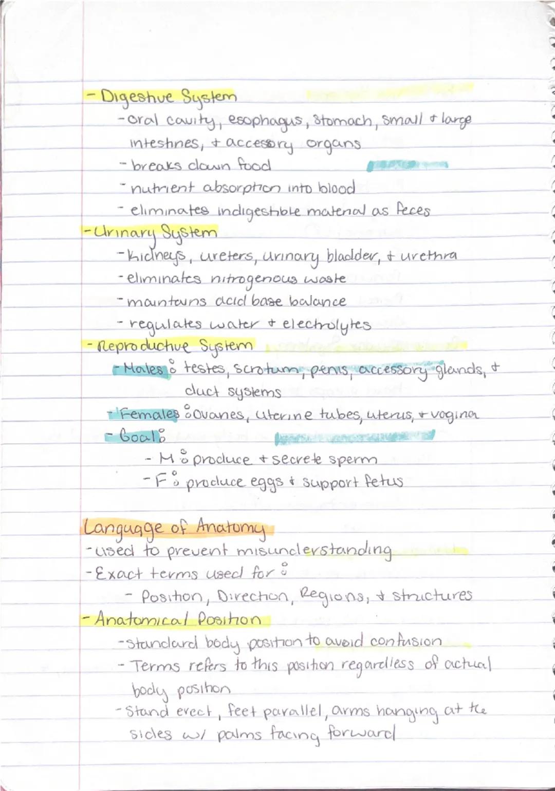 Ch 1 - The Human Body : The Orientation

8-26 Anatomy
-Study of the structure & shape of the body & Its parts.
-observation is used to see s