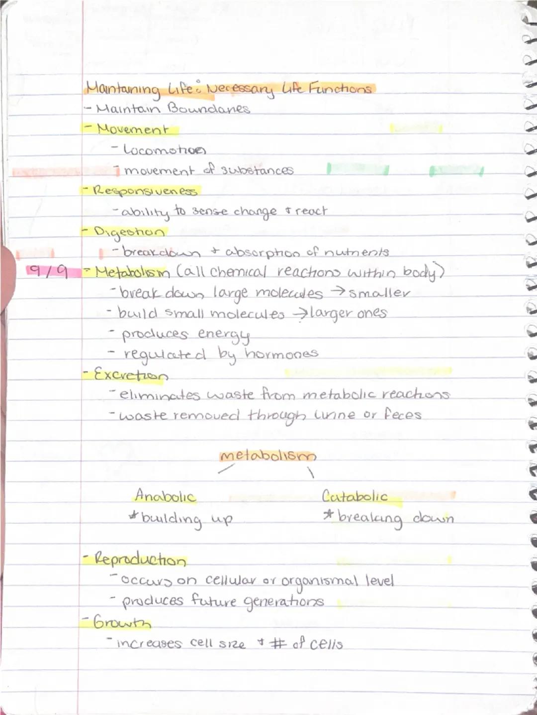 Ch 1 - The Human Body : The Orientation

8-26 Anatomy
-Study of the structure & shape of the body & Its parts.
-observation is used to see s