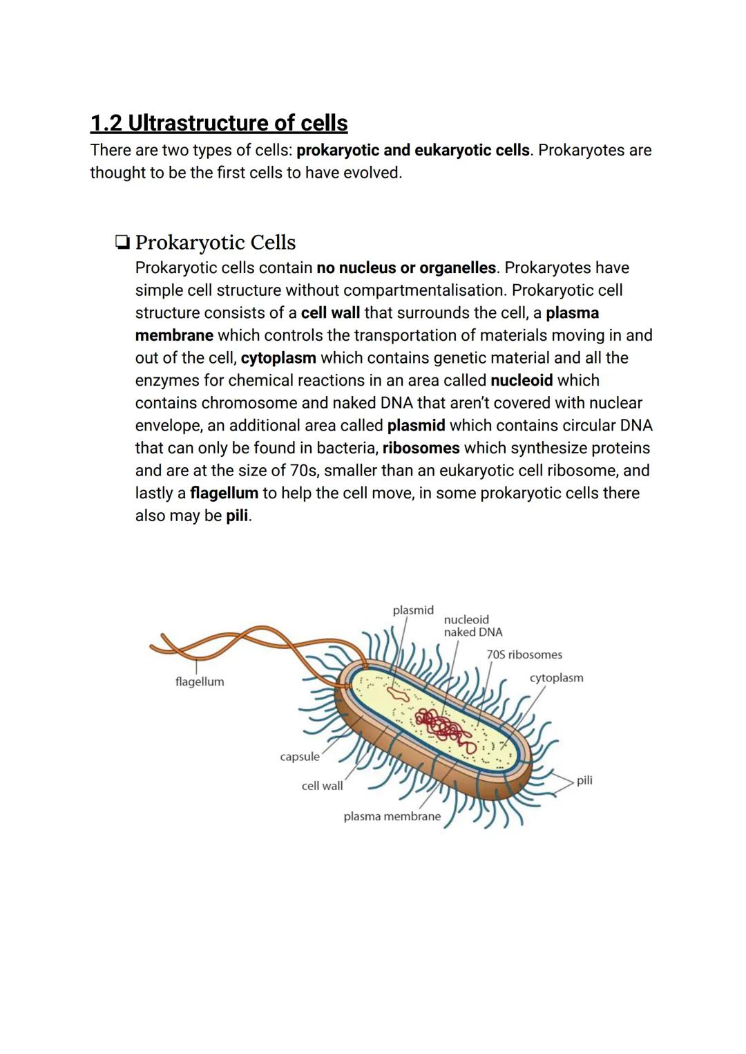# CELL BIOLOGY 1 (SUMMARY)

## 1.1 Introduction to cells

The Cell Theory

The cell theory has three main principles: the cell is the smalle