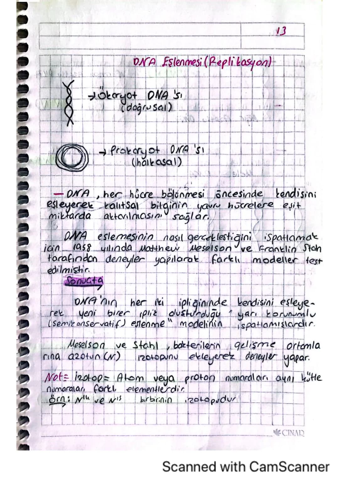 12

+HH MRNA

RNA

DNA
-Tbazı ONA ya özgüdür.

RNA
- U bazı eNA'ya özgüdür.

Yapısınde deoksiriboz şekeri, - Yapısında riboz şekeri var

Cif