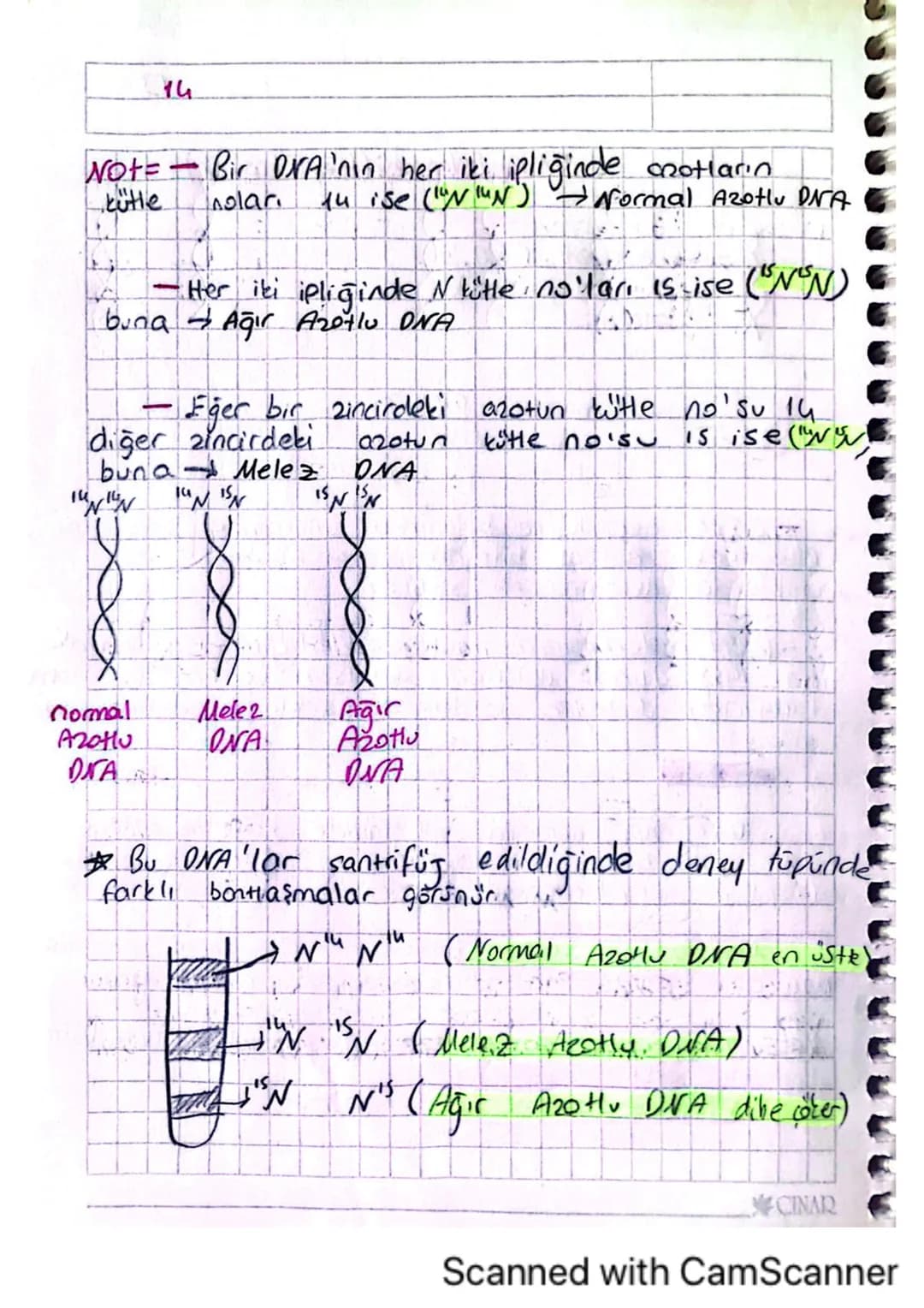 12

+HH MRNA

RNA

DNA
-Tbazı ONA ya özgüdür.

RNA
- U bazı eNA'ya özgüdür.

Yapısınde deoksiriboz şekeri, - Yapısında riboz şekeri var

Cif