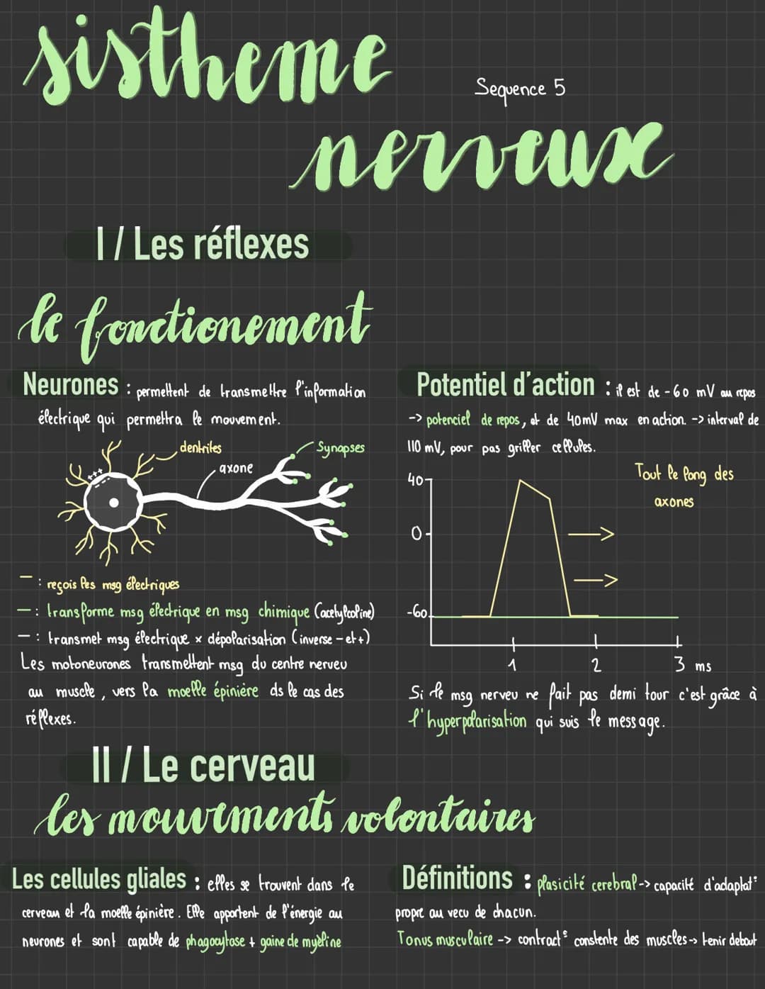sistheme
Sequence 5
nerveux
I/ Les réflexes
le fonctionement
Neurones: permettent de transmettre Pinformation
électrique qui permettra le mo