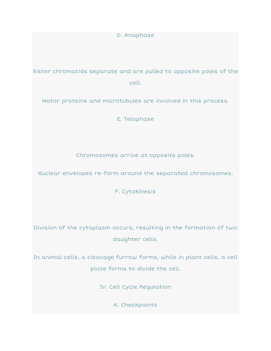 ## 4.6 Cell Cycle

S

INTE
G2

Prophase XXXX

MITOSIS

SRPHASE

G1

2 cells

Metaphase

Anaphase

Telophase

Cytokinesis

Go

Cell Cycle

I.