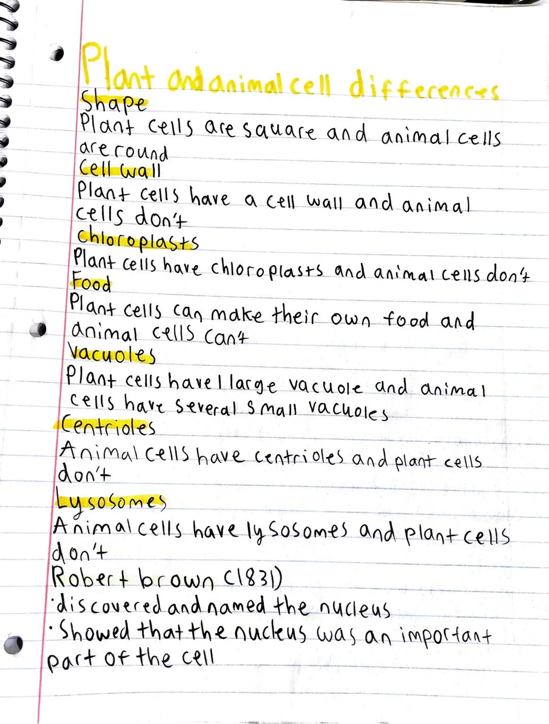 Plant and animal cell differences.
Shape
Plant cells are square and animal cells
are round
Cell wall
Plant cells have a cell wall and animal