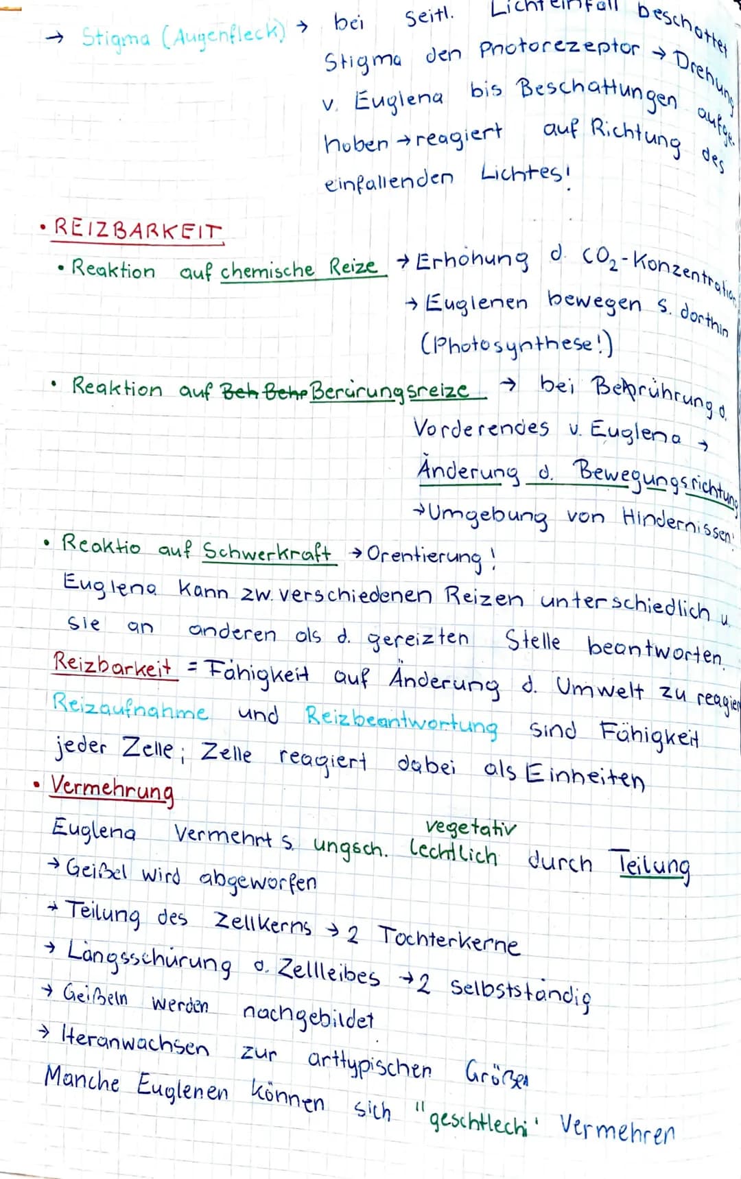 # KENZEICHEN
von LEBEWE SEN

GATTUNG div. Aren
Anhand des Beispiels: EUGLENA sp. (Augentierchen")

Ampalle
Geißel(lang
Stigma Photorezeptor
