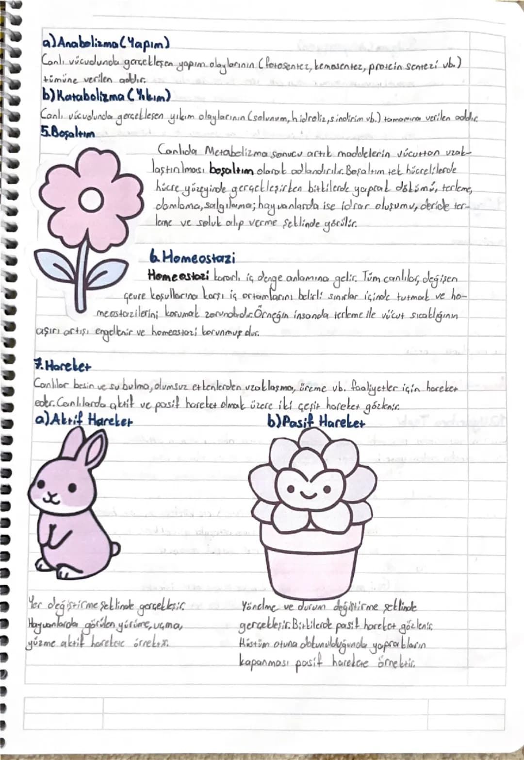 1. ÜNİTE: YAŞAM BİLİMİ BİYOLOJİ
1. BÖLÜM: Biyoloji ve Canlıların Ortak Özellikler
Beslenme, biyoloji, boşaltım, büyüme, canlılık, gelişme, h