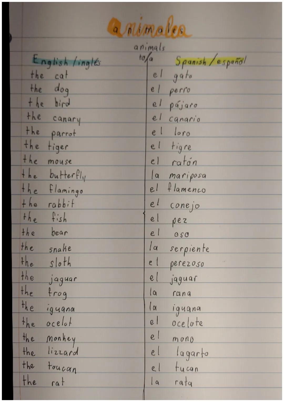 animalea
animals
English/inglés
to/a Spanish/español
the cat
el gato
the dog
el perro
the bird
el pájaro
the canary
el canario
the parrot
el