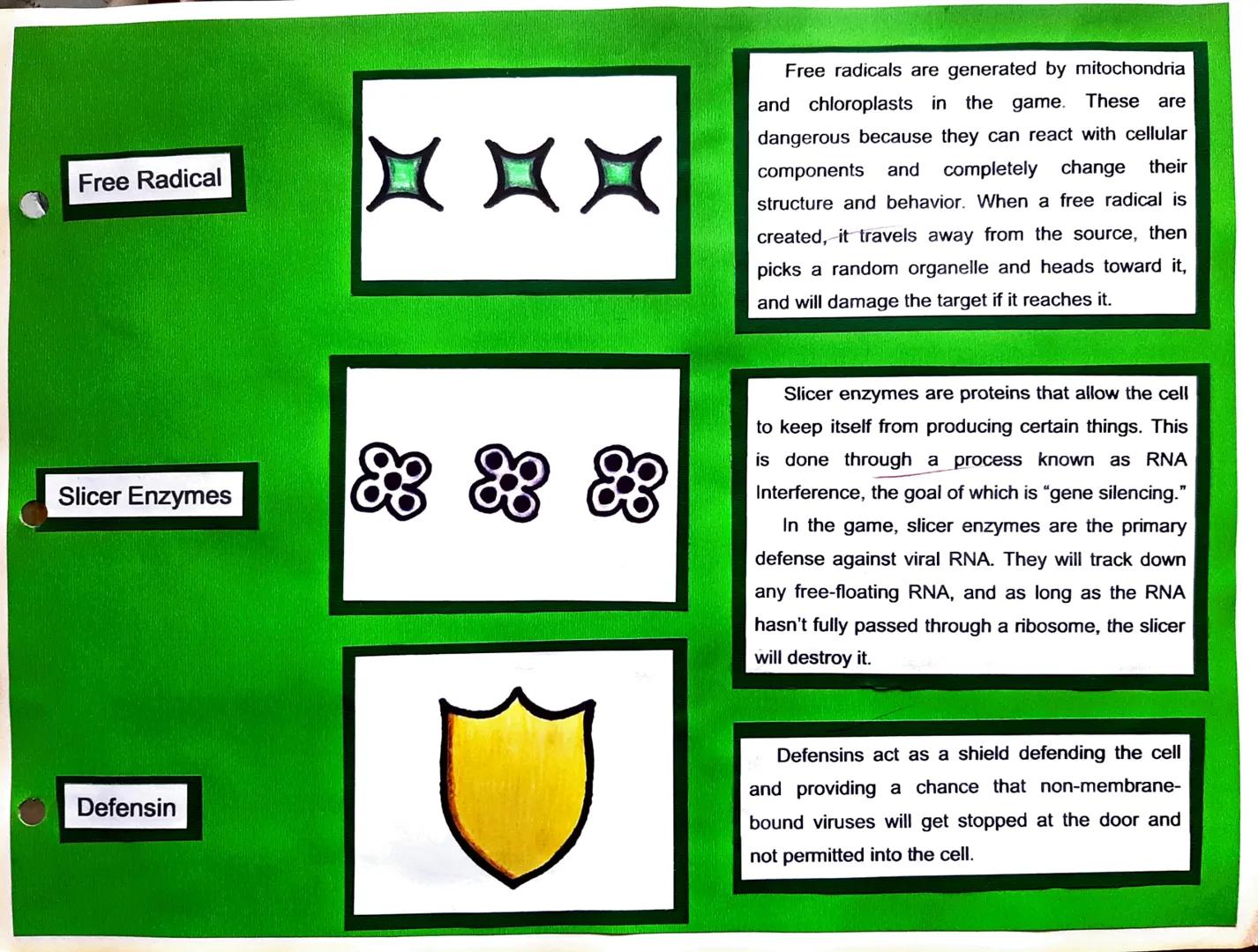 Centrosome

Plasma Membrane

Cell Parts, Illustrations, and Its Function

Plasma Membrane

The centrosome organizes the cytoskeleton,
an inv