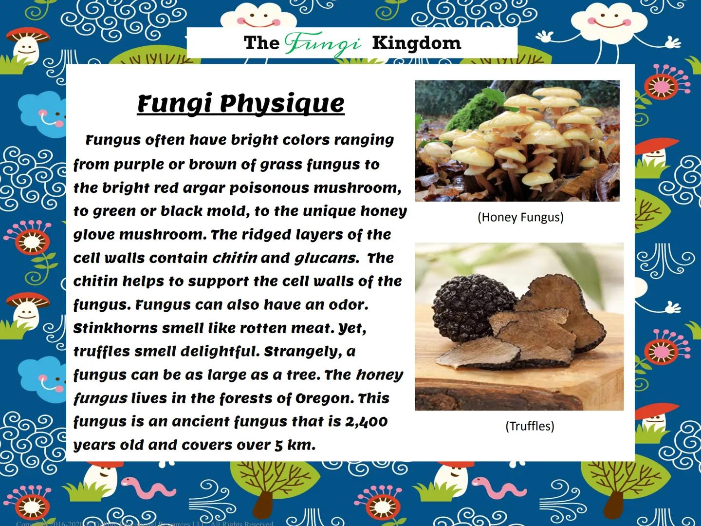 # The Fungi Kingdom

Passages & Comprehension Questions

Fungi Kingdom

Copyright 2016-2020 TiePlay Educational Resources Allerghts Reserved