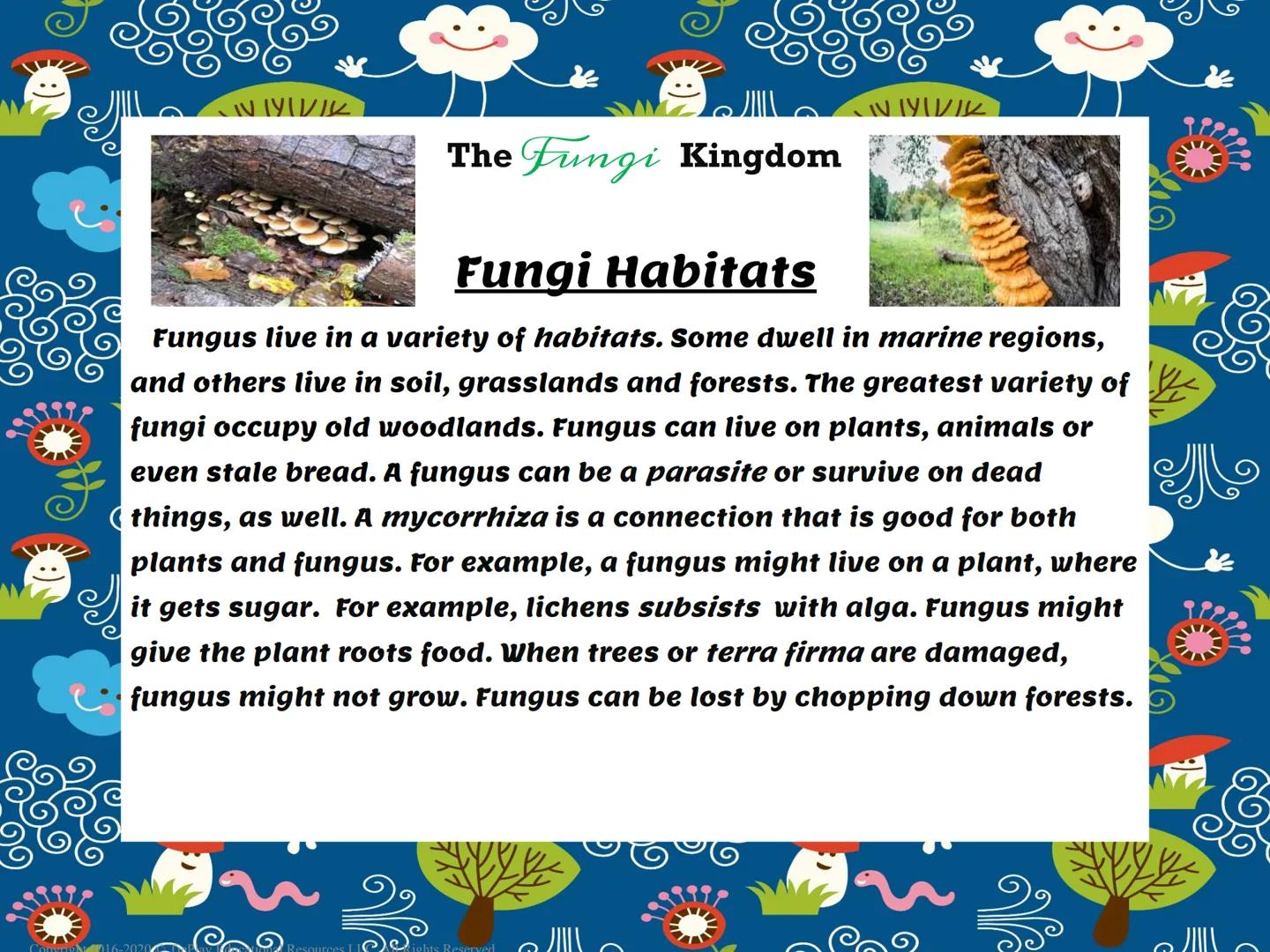# The Fungi Kingdom

Passages & Comprehension Questions

Fungi Kingdom

Copyright 2016-2020 TiePlay Educational Resources Allerghts Reserved