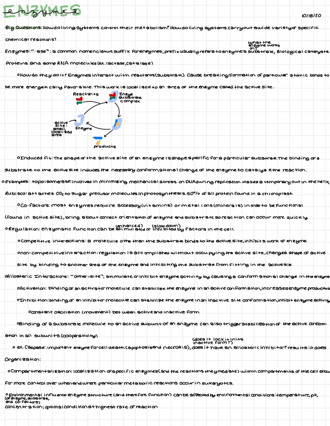 # enzymes

10/18/20

Big Questions: Howdoliving Systems control their metabolism? How do living systems carryout awide varietyor specific
ch