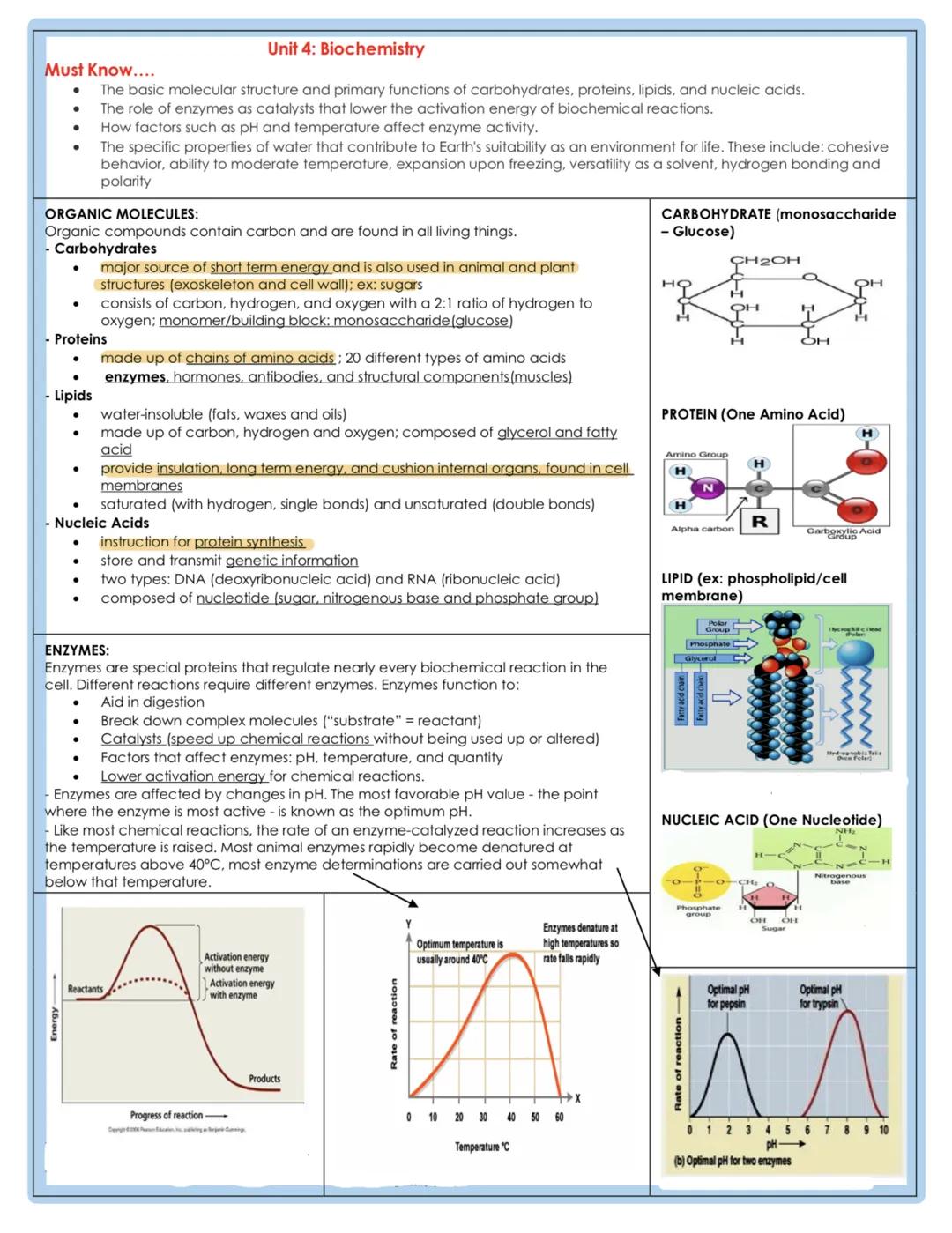Must Know....
Unit 4: Biochemistry
- The basic molecular structure and primary functions of carbohydrates, proteins, lipids, and nucleic aci