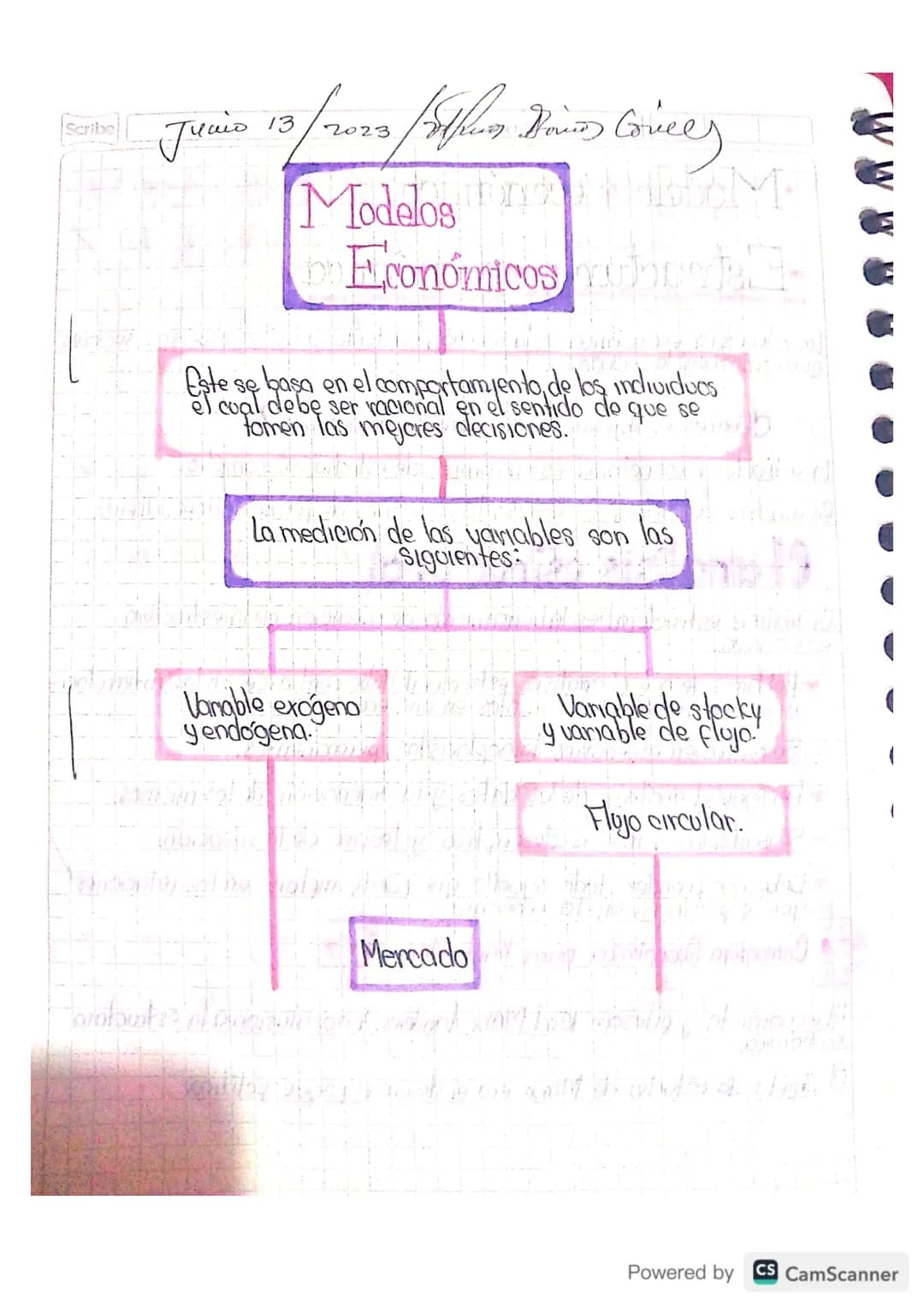 Scribe
Guía 8
*   Modelo económico
*   Estructura económica

La estructura económica es la relación existente entre los diversos sectores
qu