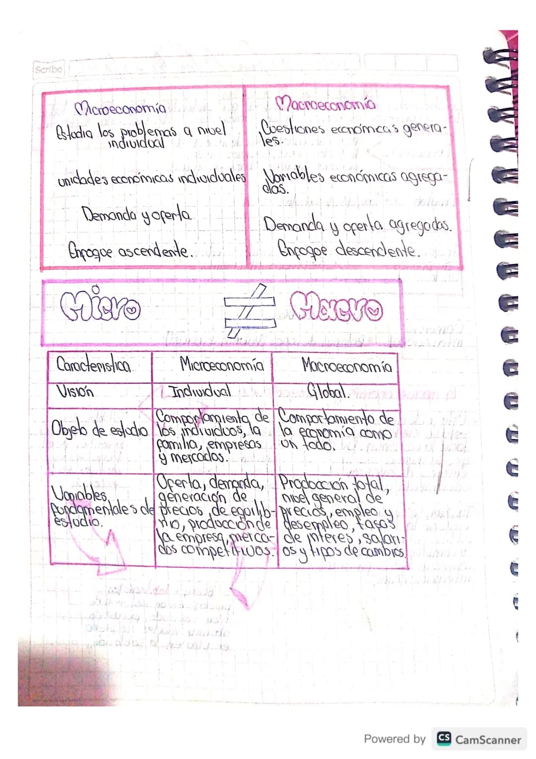 Scribe
Guía 8
*   Modelo económico
*   Estructura económica

La estructura económica es la relación existente entre los diversos sectores
qu