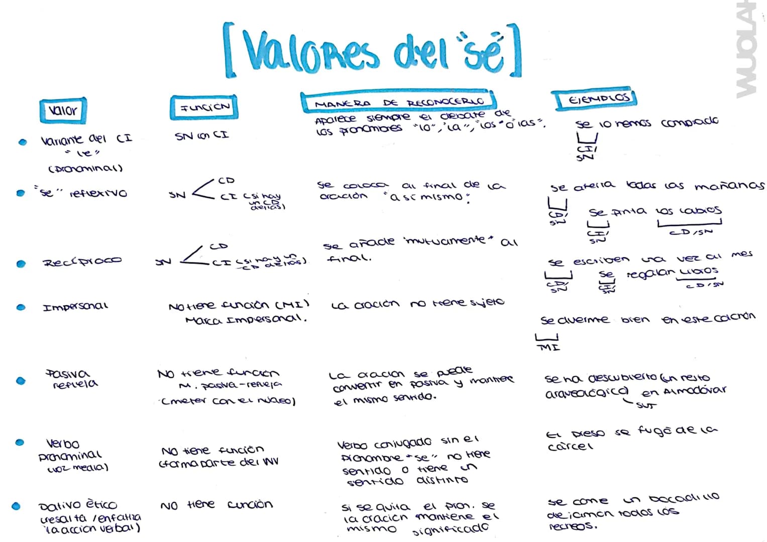 # valor

*   Variante del CI
    le"
    (pronominal)

*   se" reflexivo

[Valores del 'se]

# FUNCION

SNON CI

MANERA
DE RECONOCERLO
Apare