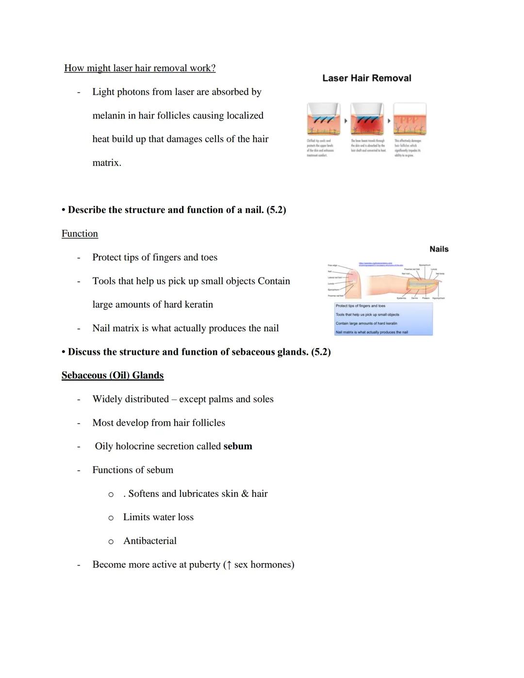 EXS 207 Topic 4: Integumentary System Study Objectives

Use our lecture slides as your primary resource for addressing each objective. It is