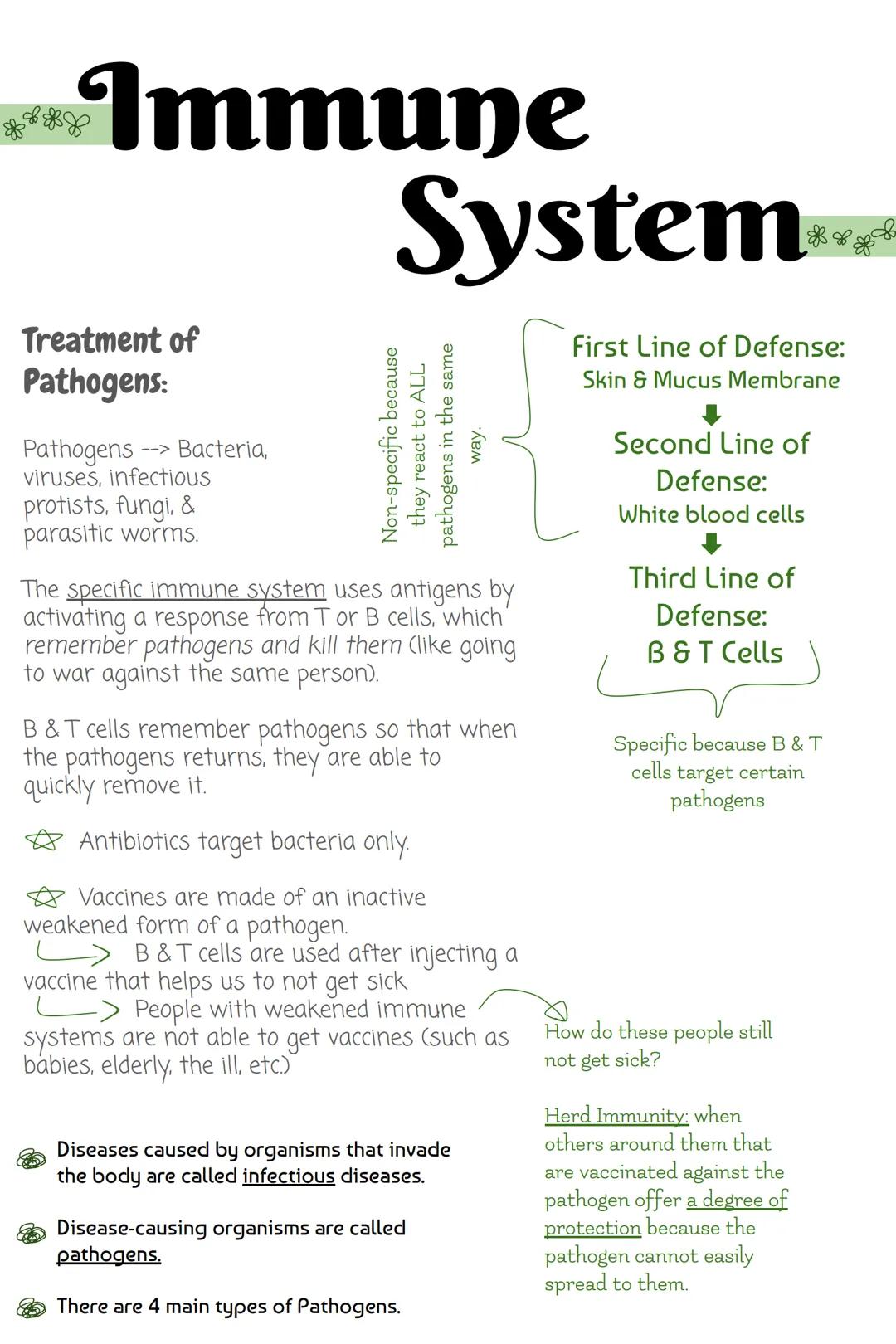 # Immune

# System

Treatment of
Pathogens:

Pathogens --> Bacteria,
viruses, infectious
protists, fungi, &
parasitic worms.

The specific i