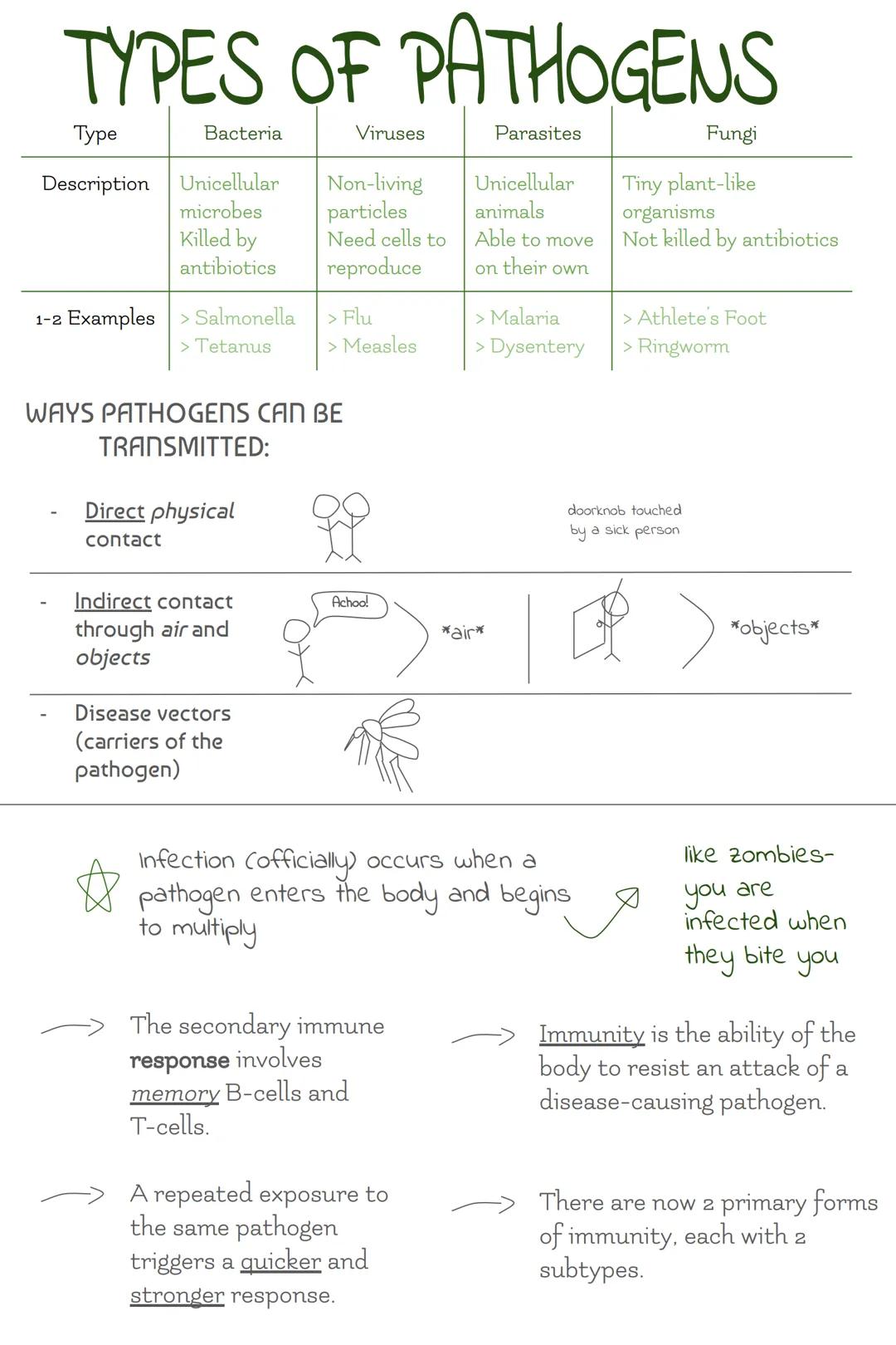 # Immune

# System

Treatment of
Pathogens:

Pathogens --> Bacteria,
viruses, infectious
protists, fungi, &
parasitic worms.

The specific i