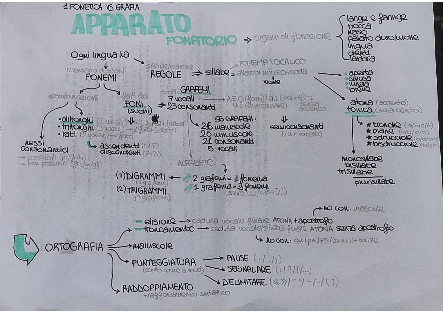 # 1.PONETICA US GRAFIA

# APPARATO

Ogui lingua ha

↓

Inventano di suoi

## FONEMI

# FONATORIO organı oli fonazione

Sillabe/parde

## FON