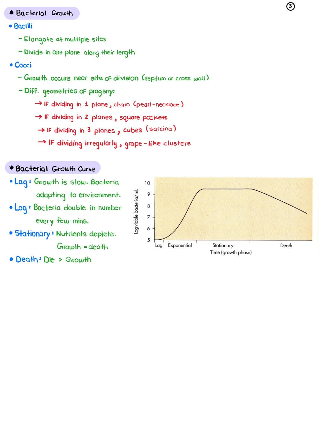 L19-Bacterial Metabolism, Growth, & Reproduction March 30, 2022

* Photoautotrophs
• Are photosynthetic use solar energy to reduce Co₂ to or