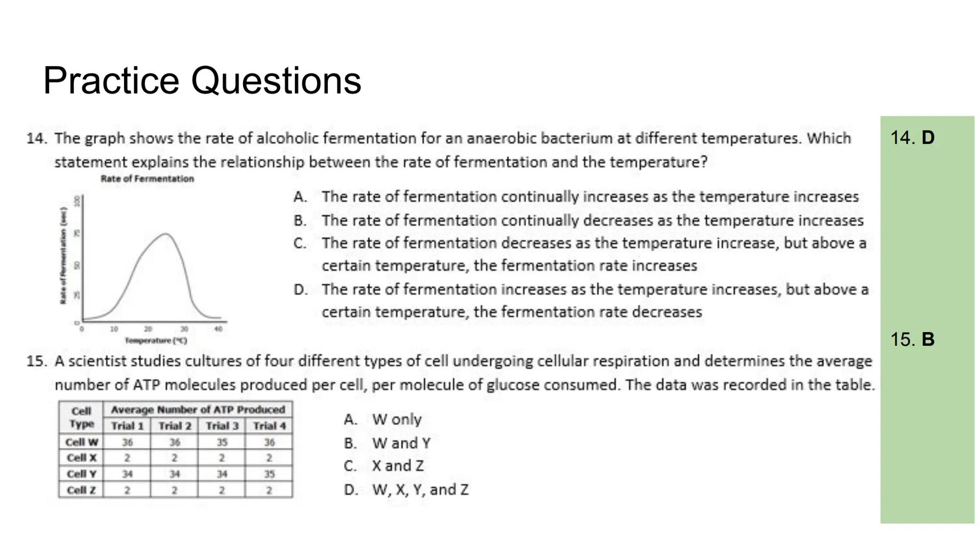 Fermentation # Fermentation

Anaerobic Respiration: Respiration without oxygen

Location: Cytoplasm

Lactic Acid Fermentation:

Occurs in mu