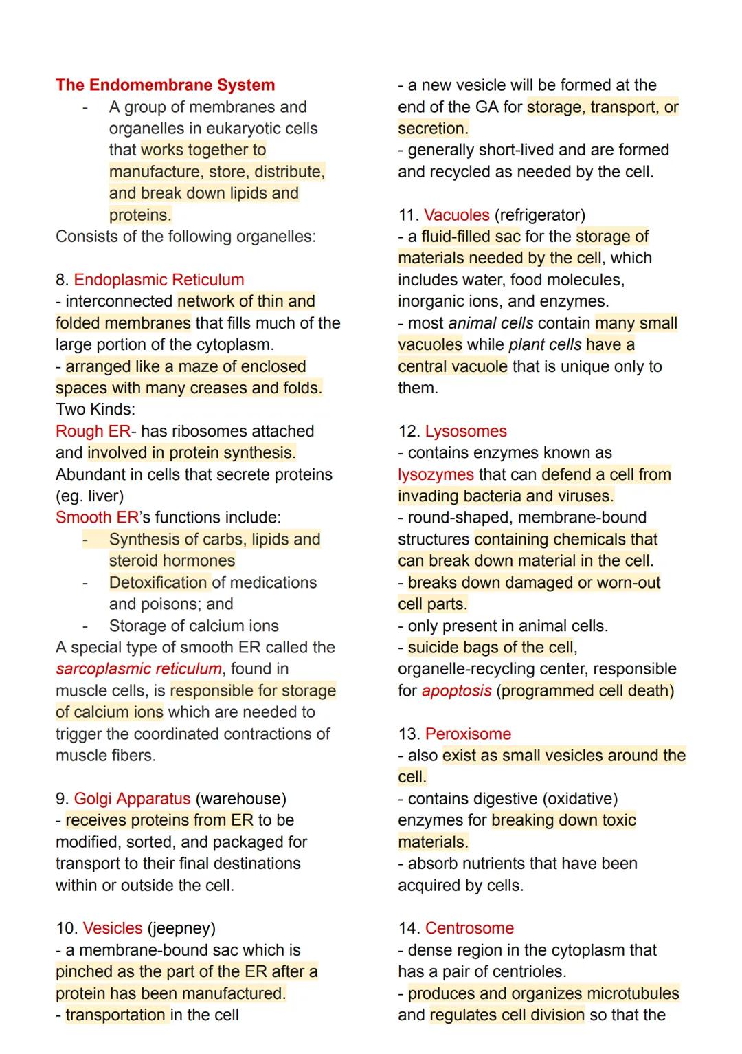 # Intro to Human
Anatomy and Physiology

Types of Cells (according to
structure)

Prokaryotic Cell
- These are small cells that lack a
nucle