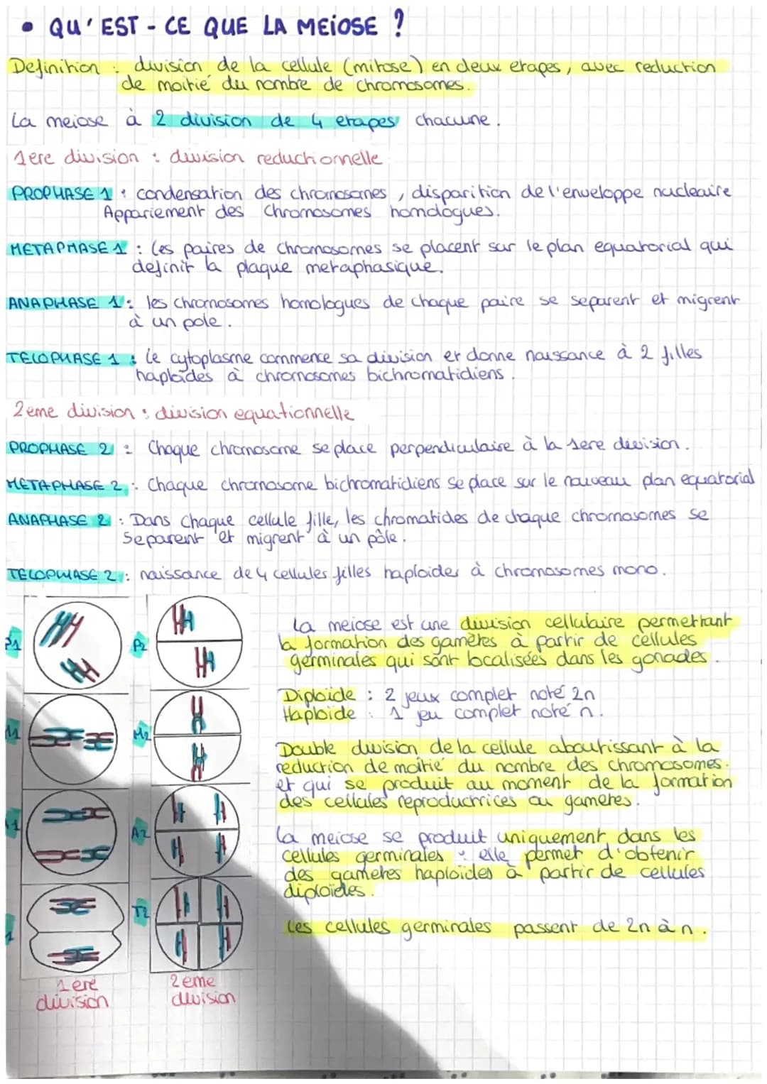 SVT: CHAPITRE 1: LES DIVISIONS CELLULAIRES DES EUCARYOTES

• QU'EST-CE QUE LA MITOSE ?

Definition : division de la cellule au cours de laqu