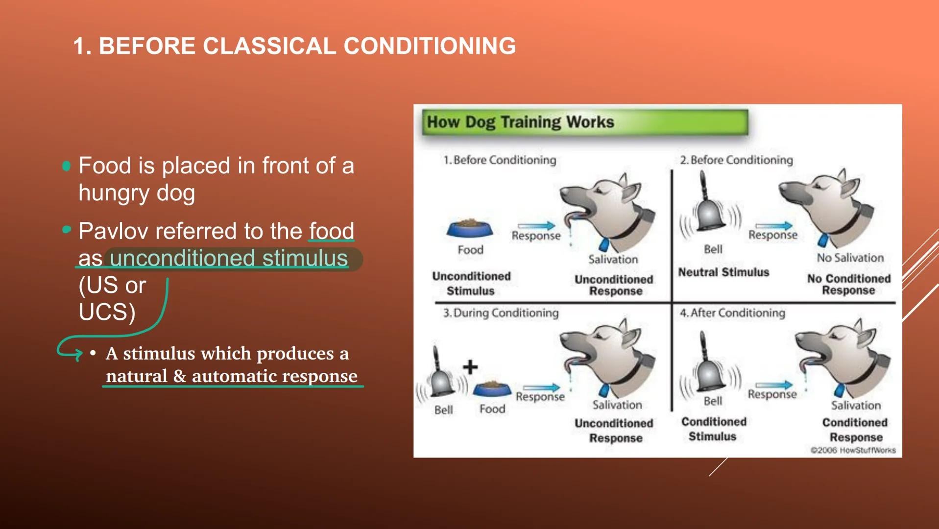 # UNIT 4-BEHAVIORAL LEARNING Behavioral learning

occurs when a behavior or response
changes as a result of experience ASSOCIATIVE LEARNING
