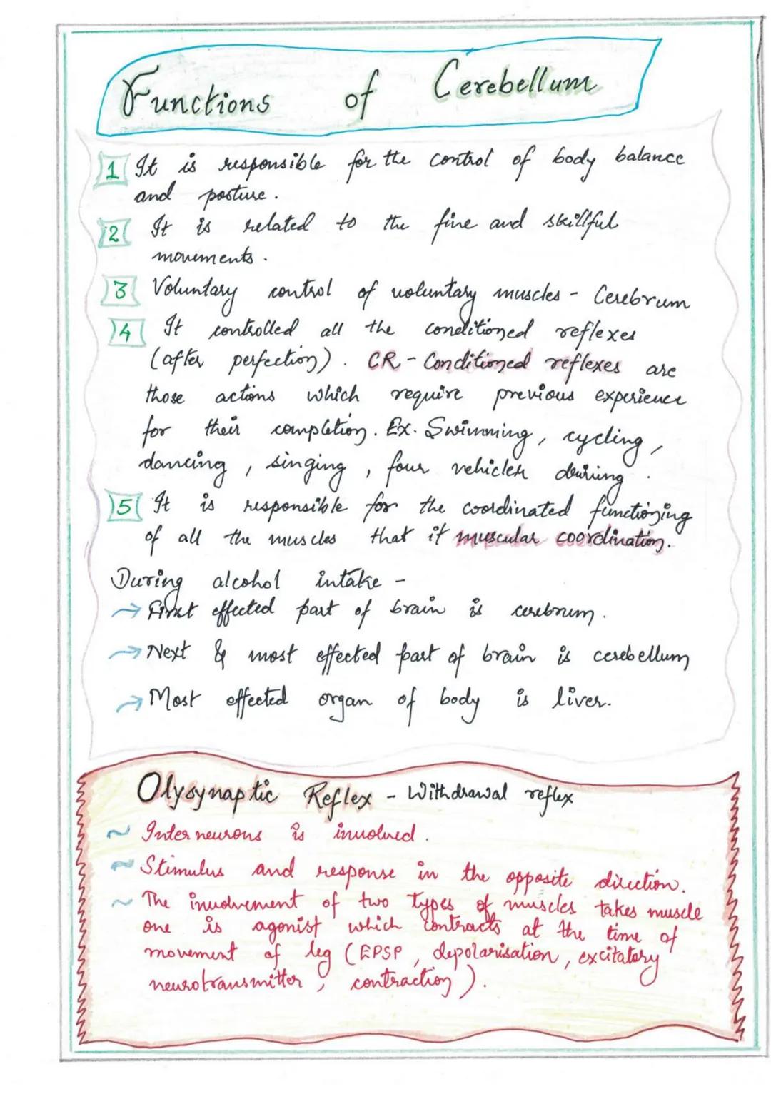 NERVOUS
SYSTEMI
Nervous System
↓
High spud coordination
Endocrine System
↓
Slow speed coordination
Homeostatic State (tendency of body to re