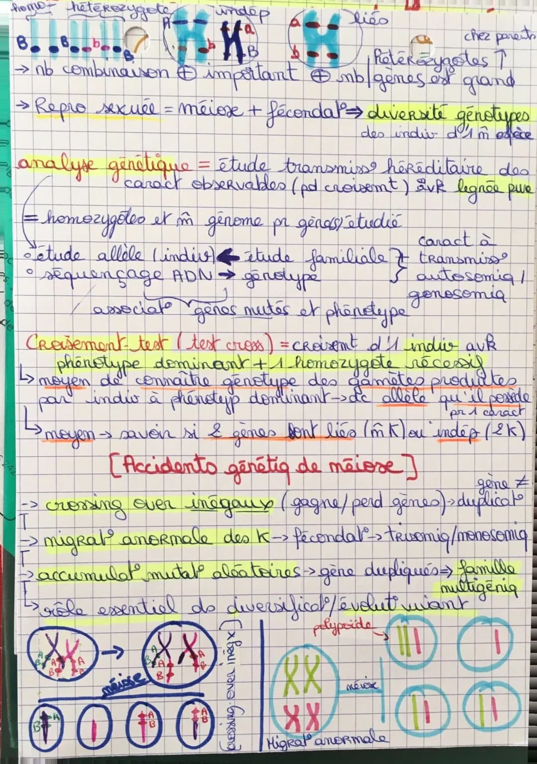 SVIT 6 Origine genotype des
clones
-> Mécanismes pr stabilité génétique + évolution
ADN = support info genétig (ds noyau & eucaryote)
sa lec