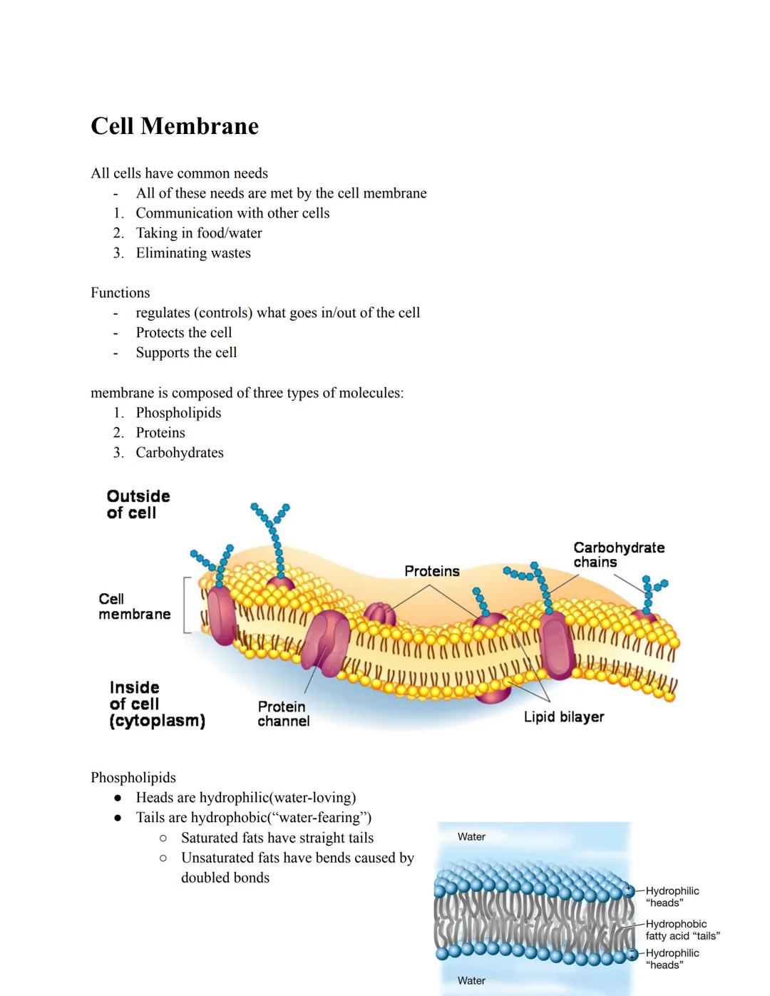 # Cell Membrane

All cells have common needs
- All of these needs are met by the cell membrane
1. Communication with other cells
2. Taking i