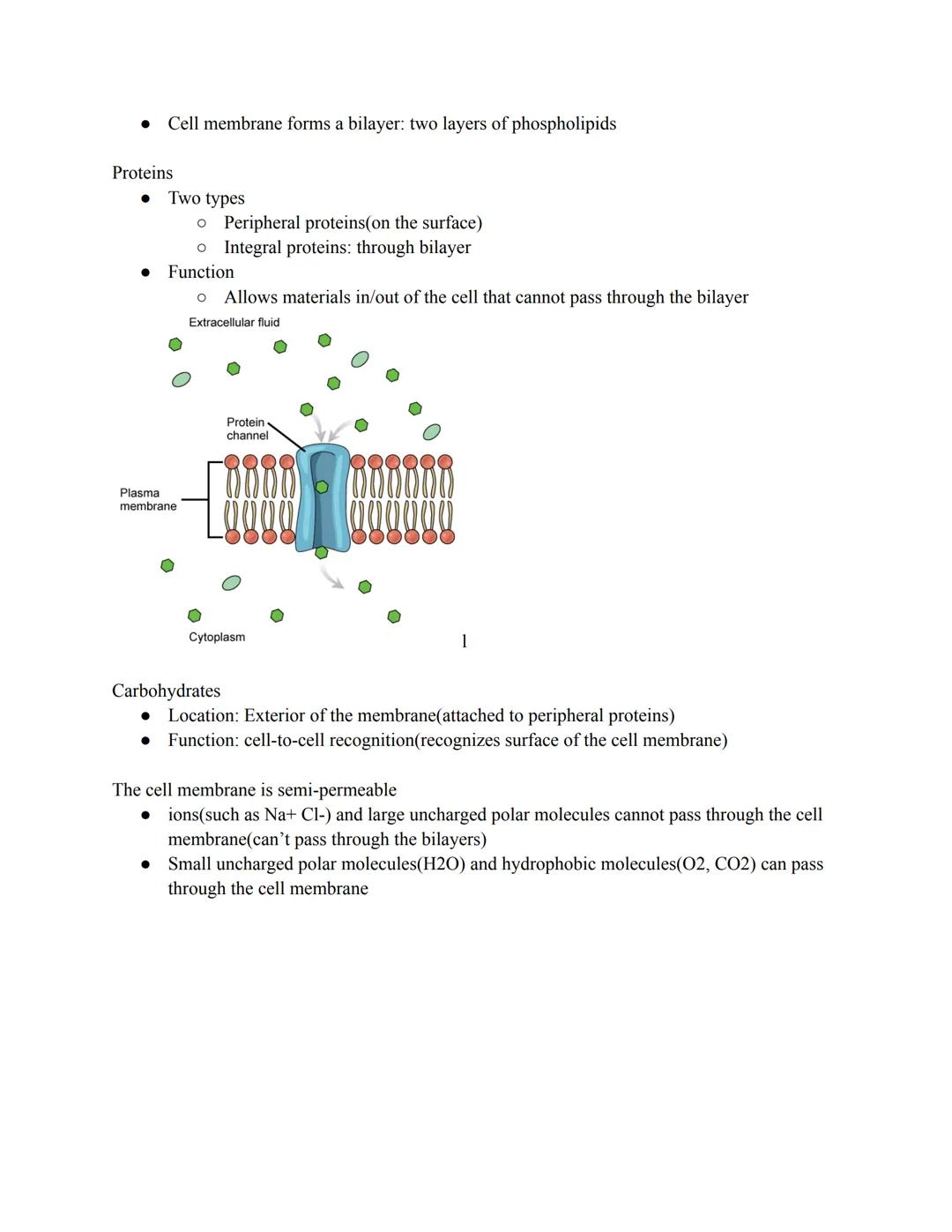 # Cell Membrane

All cells have common needs
- All of these needs are met by the cell membrane
1. Communication with other cells
2. Taking i