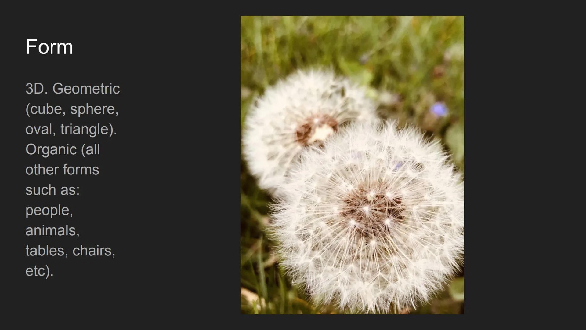 # The Elements and
# Principles of Design
Cecilya Guilbault 2nd hour Line

Horizontal,
vertical,
diagonal.
Straight,
curved,
dotted,
broken.