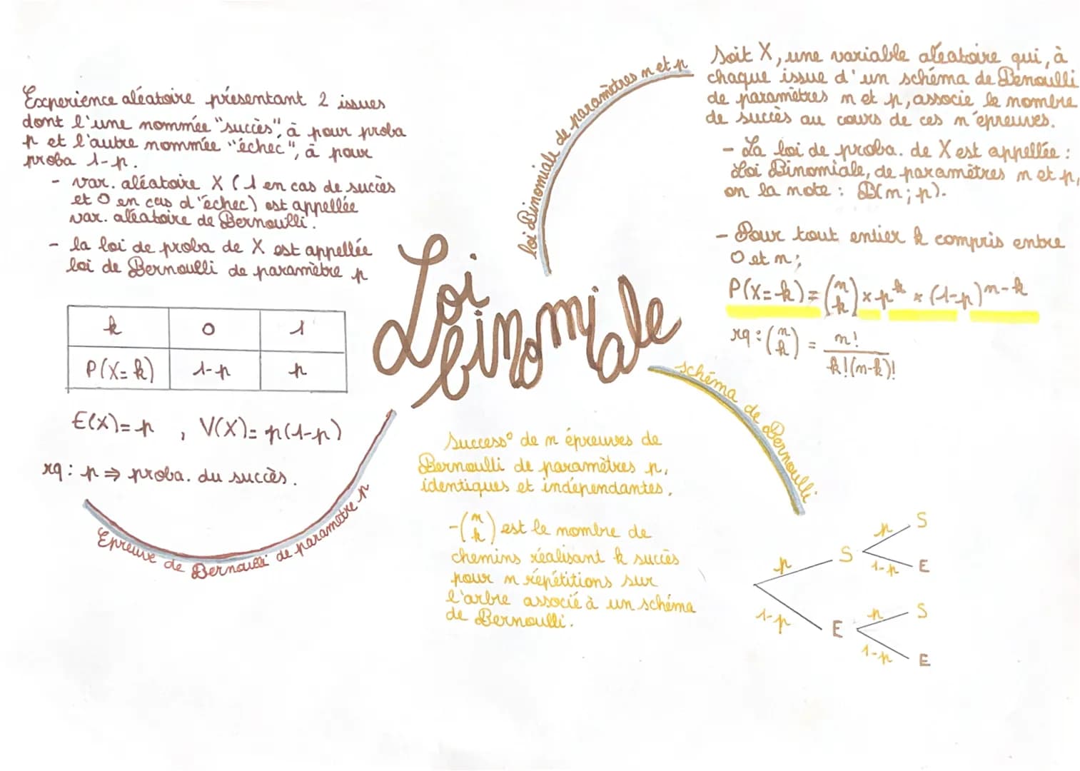 Experience aléatoire présentant 2 issues
dont l'une nommée "succès" à pour proba
p et l'autre nommée "échec", à pour
proba 1-p.
- var. aléat