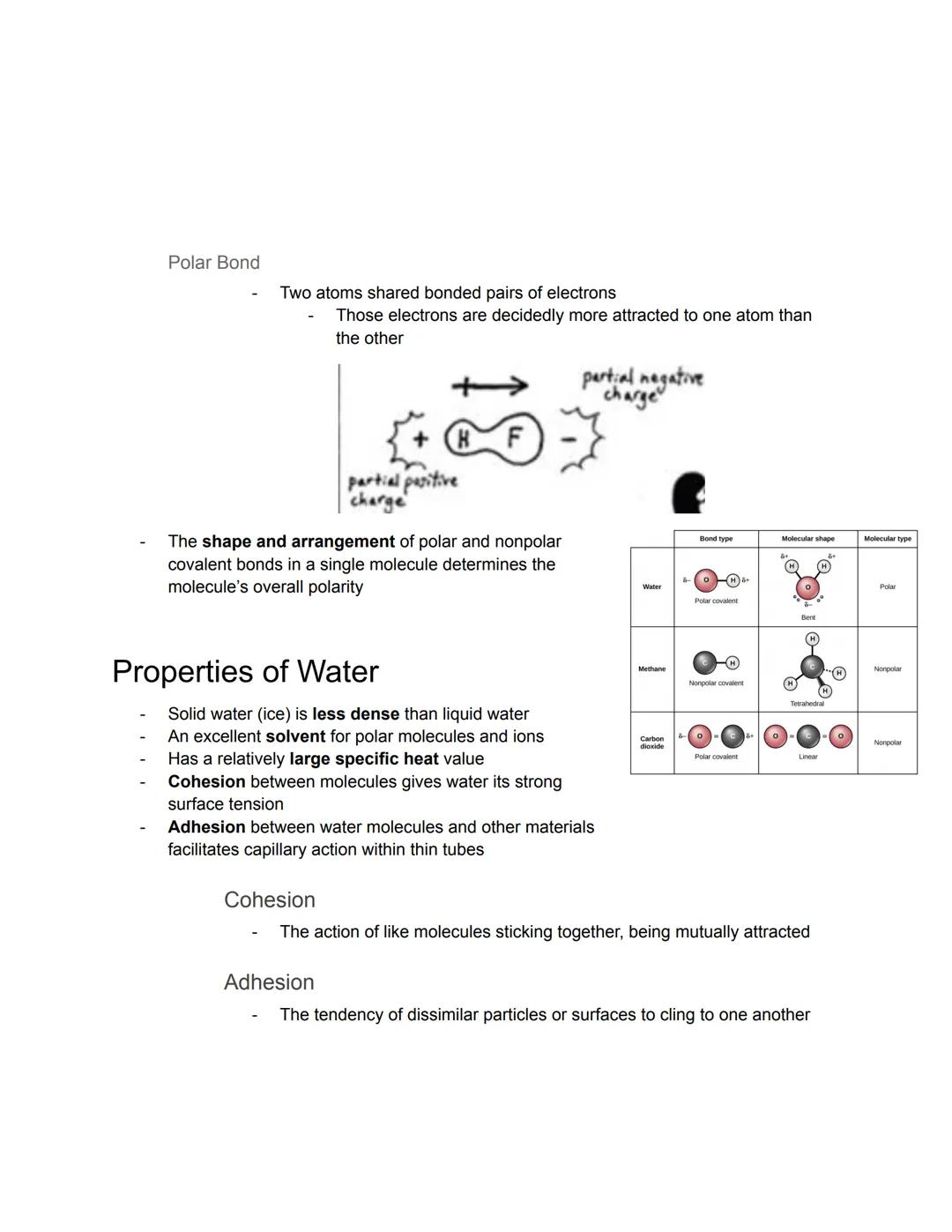 # Composition of Life

Organization
- Components of life form an
organized hierarchy
- All living things exhibit
this hierarchy in their
com