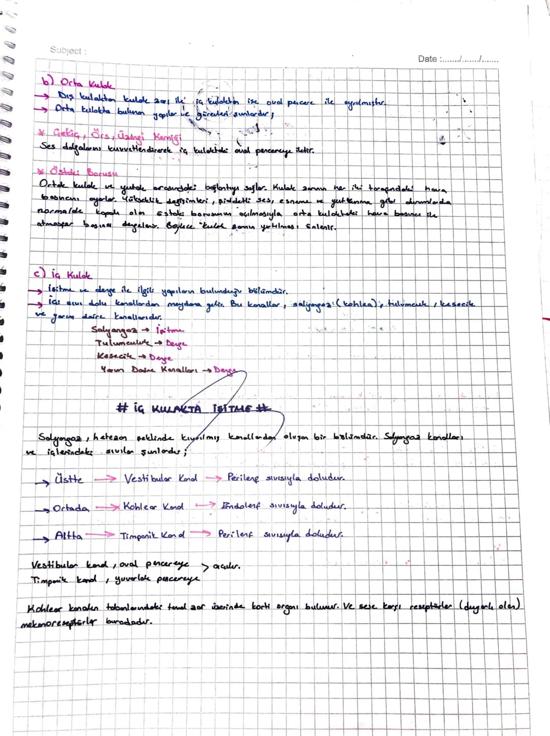 Subject:

#KWAK#

• isitme ve dange orgonider.

• Da kisunden olyur
a) Dig Kulole
Orta Kulak
iç Kulak

Date........

İşitme Sinirler

Üzengi
